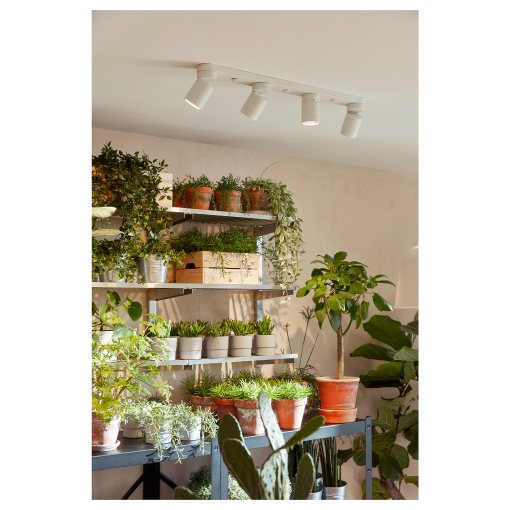 NYMÅNE, φωτιστικό οροφής με 4 σποτ, 703.377.01