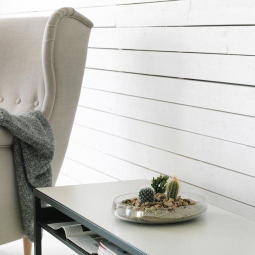 CACTACEAE, potted plant with pot,Cactus, 704.020.32