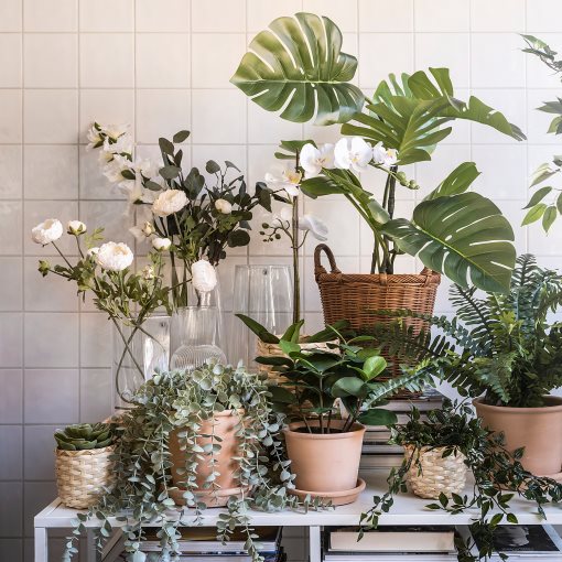 FEJKA, artificial potted plant  in/outdoor hanging/eucalyptus, 9 cm, 704.668.11