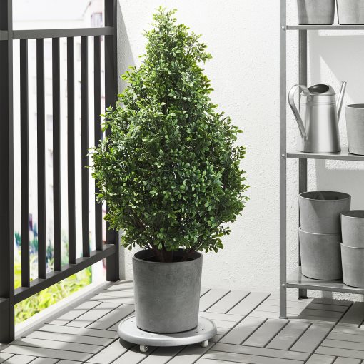 BOYSENBÄR, plant pot in/outdoor, 19 cm, 704.675.56