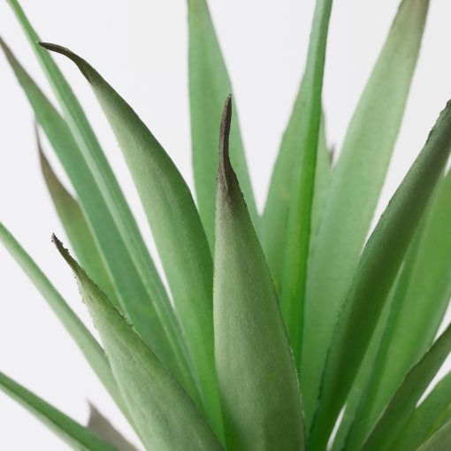 FEJKA, artificial potted plant with pot in/outdoor  Succulent, 6 cm, 805.197.67