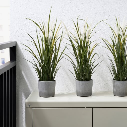 BOYSENBÄR, plant pot in/outdoor, 9 cm, 904.782.76