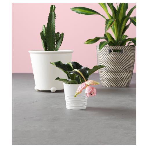 IKEA PS FEJO, self-watering plant pot, 200.393.94