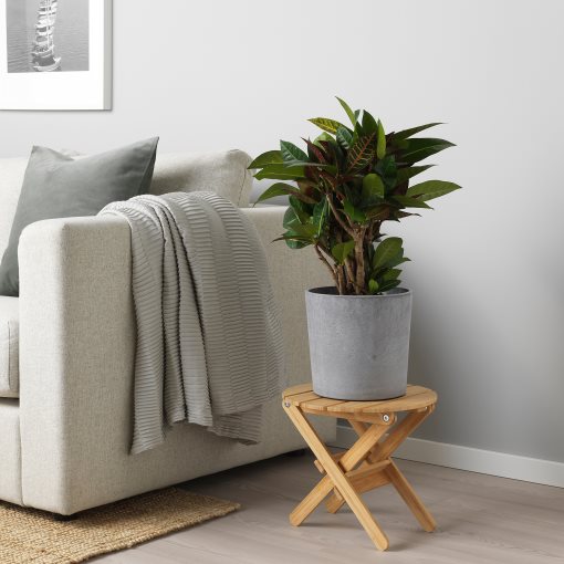 BOYSENBÄR, plant pot in/outdoor, 19 cm, 704.675.56
