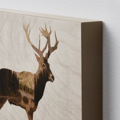 BJÖRNAMO, picture/ Wild animals II 30x20 cm, set of 2, 704.861.02
