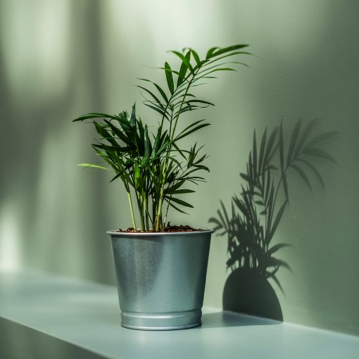 BINTJE, plant pot, 803.341.27