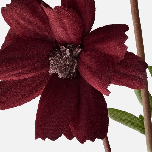 SMYCKA, artificial flower, Cosmos, 904.097.73