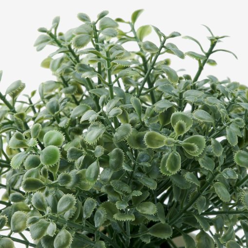 FEJKA, τεχνητό φυτό με κασπό, σετ 3 τεμ. εσωτερικού/εξωτερικού χώρου , 6 cm, 404.684.54