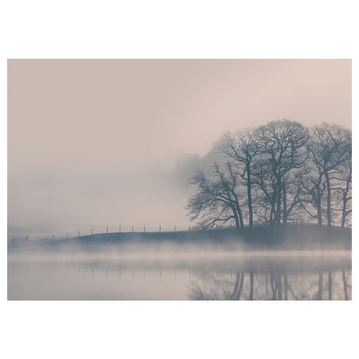 BJÖRKSTA, picture Misty landscape, 140x100 cm, 404.798.53