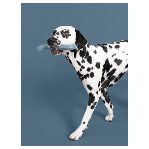 UTSADD, dog toy, 605.692.11