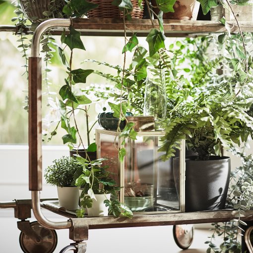 FEJKA, artificial potted plant in/outdoor fern, 15 cm, 204.684.50