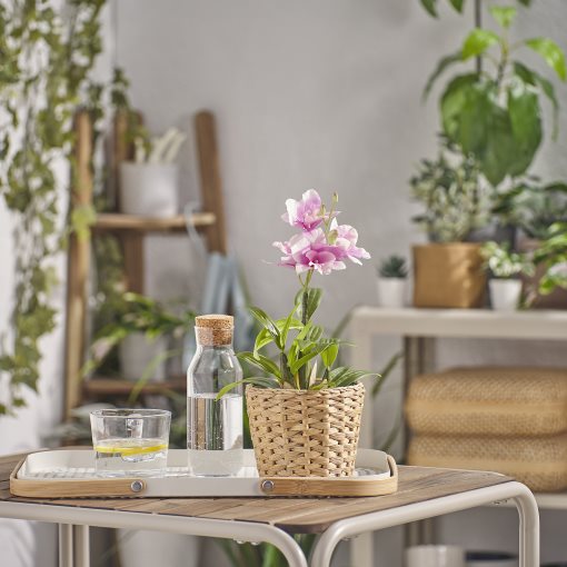 FRIDFULL, plant pot, 901.558.70