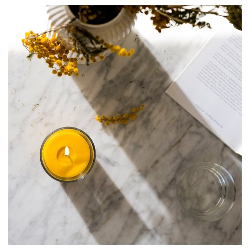 SVARTOXBÄR, scented candle in glass/mimosa, 25 hr, 005.826.68