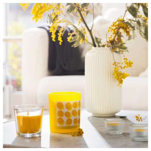 SVARTOXBÄR, scented candle in glass/mimosa, 25 hr, 005.826.68