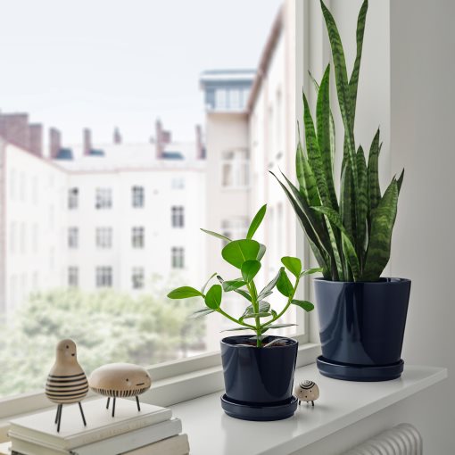 KLOTLÖNN, plant pot with saucer/in/outdoor, 12 cm, 005.840.64