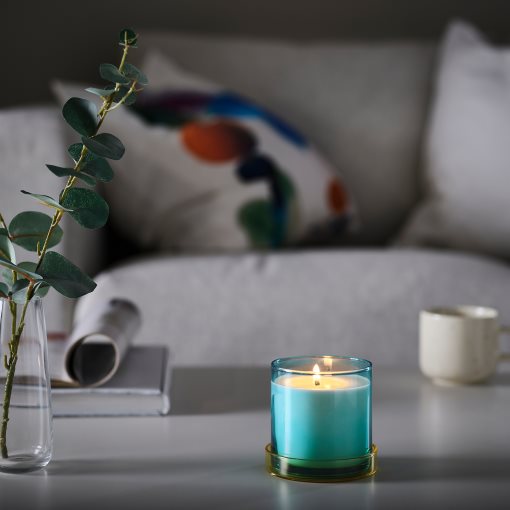 DVÄRGHÖK, scented candle in glass with lid/fig leaf, 50 hr, 006.142.78