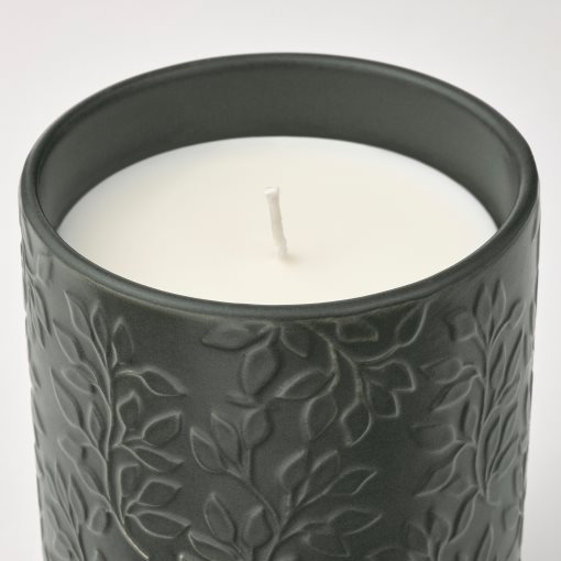 GLASBJÖRK, αρωματικό κερί σε κεραμικό βάζο/Κέδρος & βανίλια, 45 hr, 105.336.20