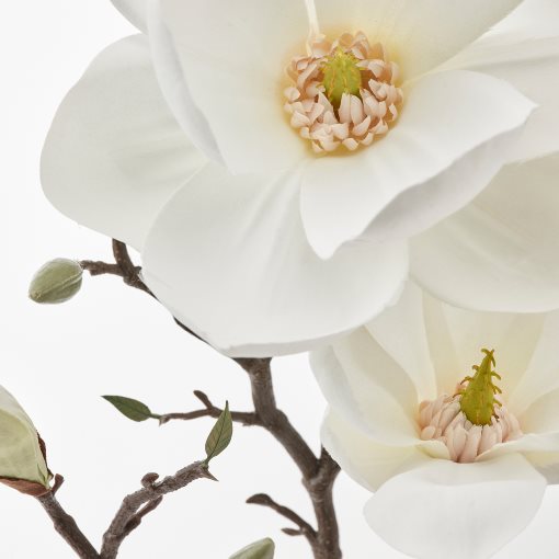 SMYCKA, artificial flower in/outdoor/magnolia, 61 cm, 106.133.39