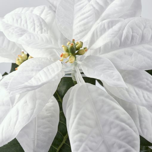 VINTERFINT, artificial potted plant/in/outdoor Poinsettia, 12 cm, 205.621.41