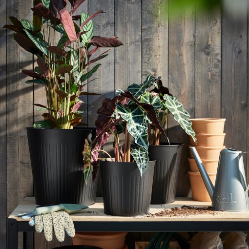 CITRONMELISS, plant pot in/outdoor, 19 cm, 205.625.08
