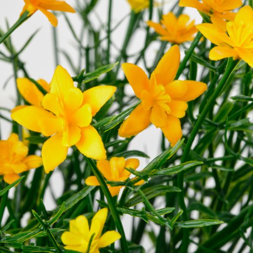 FEJKA, τεχνητό φυτό σε γλάστρα εσωτερικού/εξωτερικού χώρου, 9 cm, 206.133.53