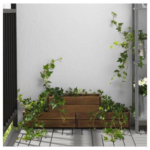 STJÄRNANIS, flower box/outdoor, 43x15 cm, 305.607.16