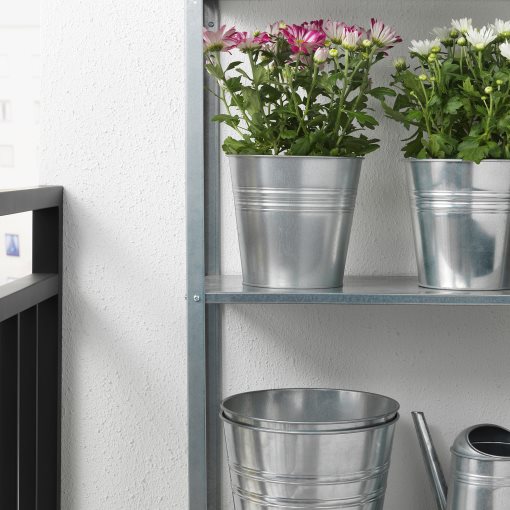 CHRYSANTHEMUM, potted plant/Chrysanthemum, 15 cm, 305.930.81