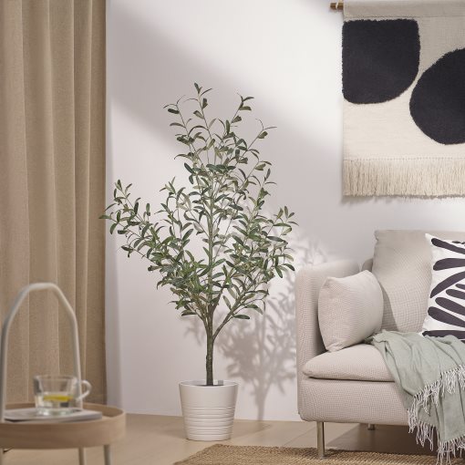 FEJKA, artificial potted plant in/outdoor/Olive tree, 19 cm, 405.968.85