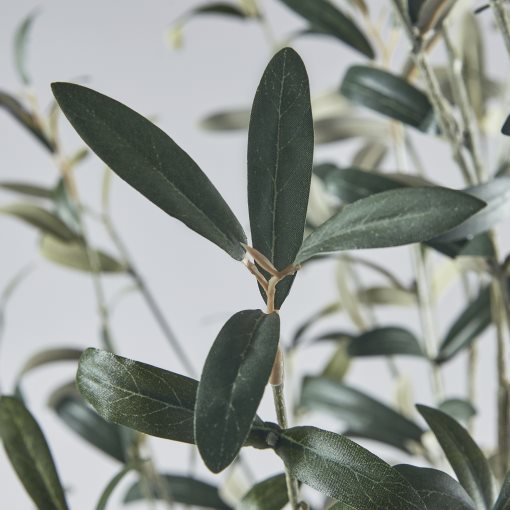 FEJKA, artificial potted plant in/outdoor/Olive tree, 19 cm, 405.968.85