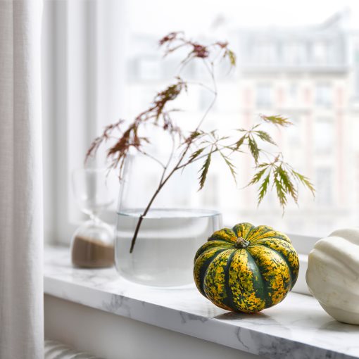 CUCURBITA, decoration pumpkin, 406.041.35