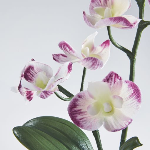 FEJKA, artificial potted plant in/outdoor/Orchid, 9 cm, 505.932.16