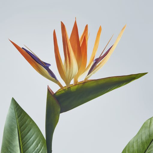 FEJKA, artificial potted plant in/outdoor/Bird of paradise, 19 cm, 505.932.35