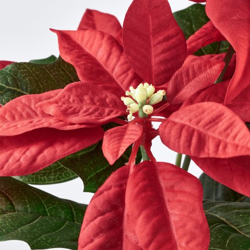 VINTERFINT, artificial potted plant/in/outdoor Poinsettia, 12 cm, 605.621.39