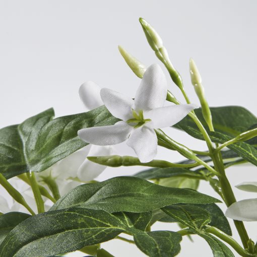 FEJKA, artificial potted plant in/outdoor/hanging/Jasmine, 12 cm, 605.932.25