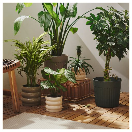 HASSELBUKETT, plant pot in/outdoor, 12 cm, 605.959.17