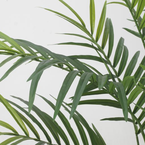FEJKA, artificial potted plant in/outdoor/Kentia palm, 21 cm, 606.106.06