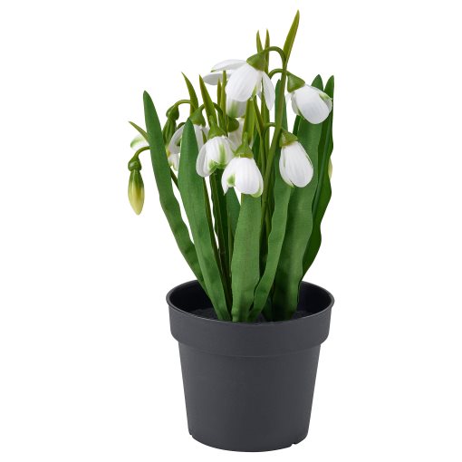 FEJKA, artificial potted plant in/outdoor/snowdrop, 9 cm, 606.133.51