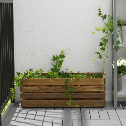 STJÄRNANIS, flower box/outdoor, 75x27 cm, 805.356.30