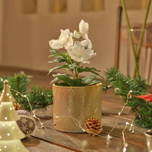 VINTERFINT, artificial potted plant/in/outdoor Christmas rose, 12 cm, 805.621.43