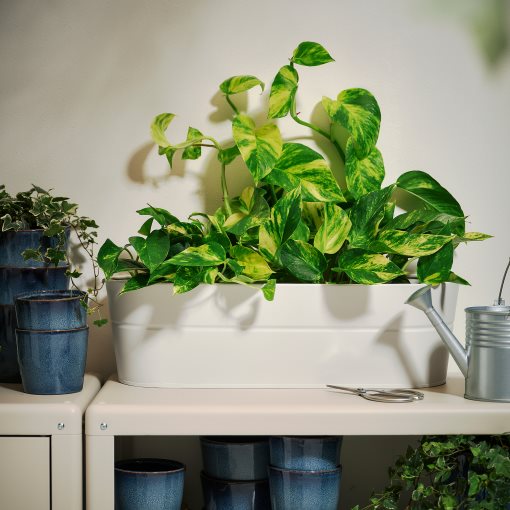 VITLÖK, flower box with holder in/outdoor, 56x20 cm, 806.124.78