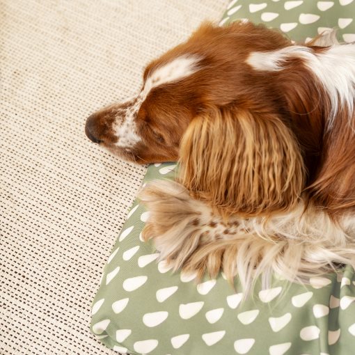 UTSADD, pet cushion, 64x102 cm, 806.236.79