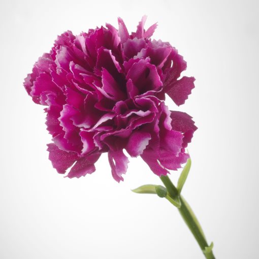 SMYCKA, τεχνητό λουλούδι, Γαρύφαλλο, 903.356.59