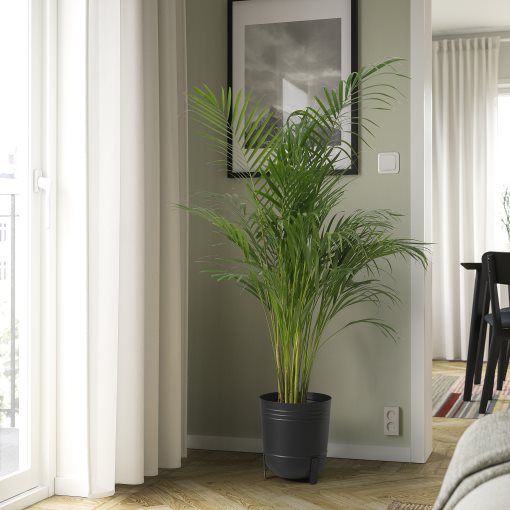 PÄRLRÖNN, plant pot in/outdoor, 24 cm, 905.822.54