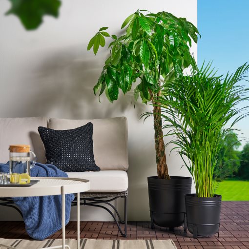 PÄRLRÖNN, plant pot in/outdoor, 24 cm, 905.822.54