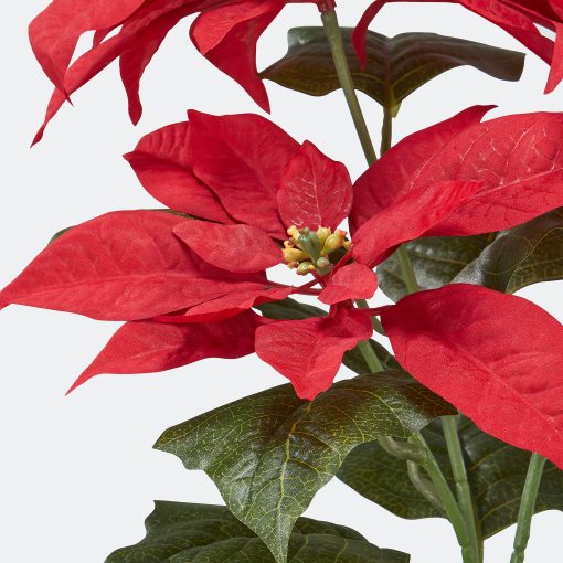 VINTERFINT, artificial potted plant in/outdoor Poinsettia, 12 cm, 905.869.16