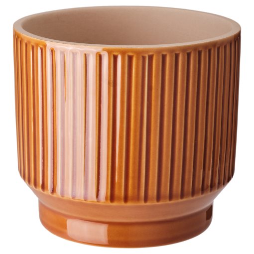 HONUNGSPALM, plant pot in/outdoor, 12 cm, 905.957.89