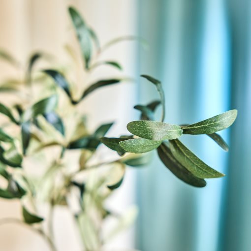 SMYCKA, τεχνητό λουλούδι εσωτ./εξωτ. χώρου/κλαδί ελιάς, 75 cm, 906.059.72