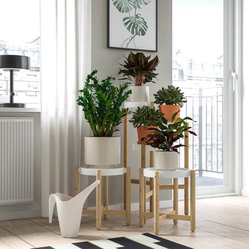 SANDKÖRSBÄR, plant pot in/outdoor, 12 cm, 906.218.25