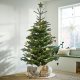 Christmas trees