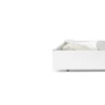ikea-ikea-under-bed-storage-box__1364325825285-s1